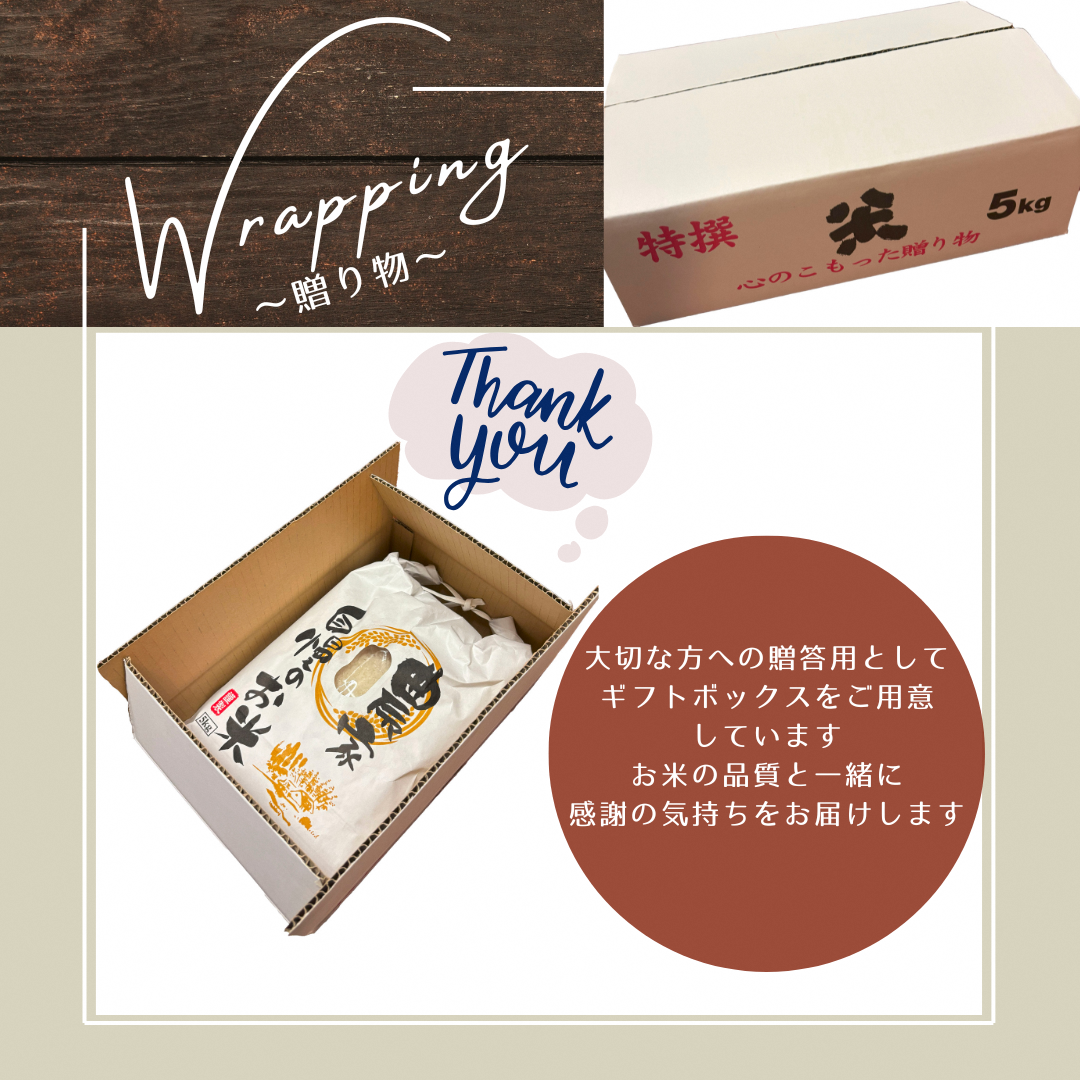 令和7年産予約 京都丹波産 キヌヒカリ 5kg 白米