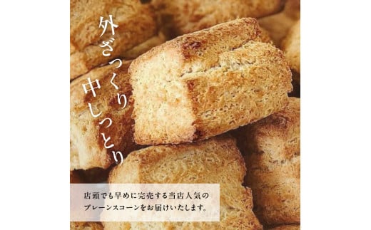 京都府木津川市のふるさと納税 全粒粉スコーンプレーン12個入り【097-06】