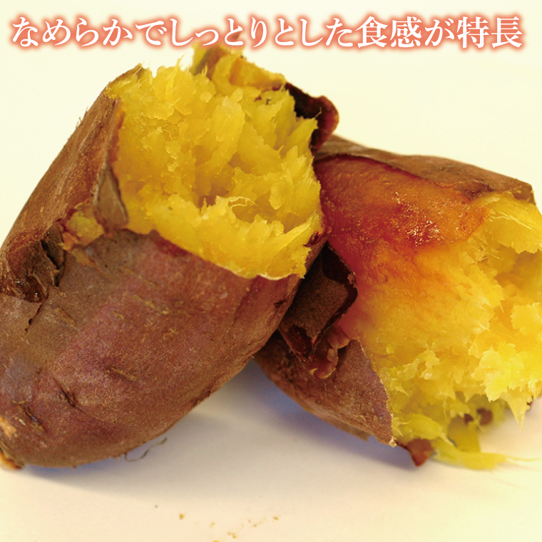 【2026年2月より順次発送】【訳あり】行方かんしょ「紅まさり」さつまいも約10kg（洗い・不揃い・C品）｜さつまいも サツマイモ さつま芋 お芋 紅まさり 訳あり わけあり 訳アリ 行方かんしょ 先行予約 茨城県 行方市(AE-111)