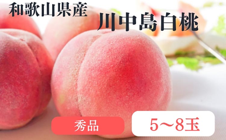 和歌山県産 川中島白桃 桃 5～8玉入り 秀品 先行予約 | 和歌山県 川中島 白桃 フルーツ 果物 くだもの 桃 もも 大玉 モモ ピーチ ギフト お取り寄せ 贈答用 秀 家庭用 自宅用 贈答品 化粧箱