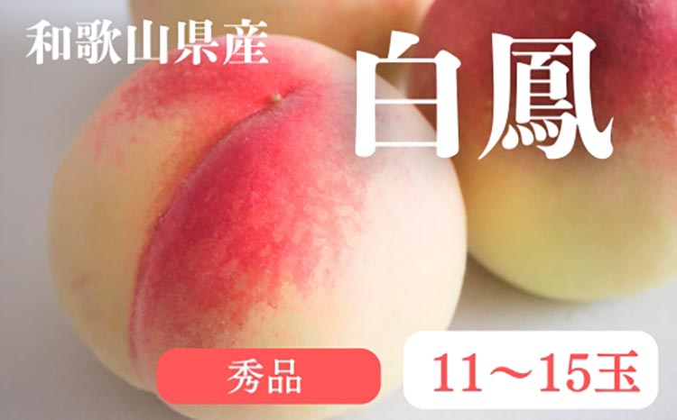 和歌山県産 白鳳 桃 11～15玉入り 秀品 先行予約| 和歌山県 白鳳 フルーツ 果物 くだもの 桃 もも 大玉 モモ ピーチ ギフト お取り寄せ 贈答用 秀 家庭用 自宅用 贈答品 化粧箱入