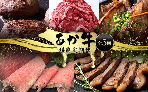 FK7-0249_あか牛堪能定期便 全5回 サーロイン ステーキ ハンバーグ 味付けカルビ ローストビーフ 切り落とし あか牛 肉 牛肉