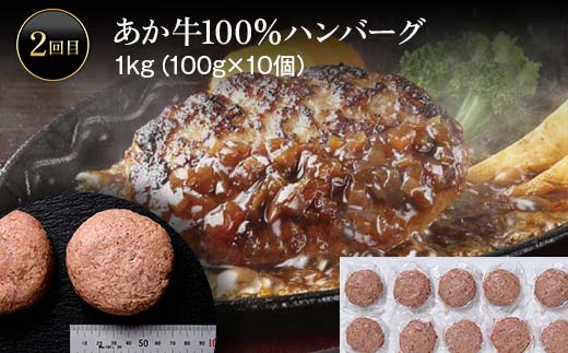 FK7-0249_あか牛堪能定期便 全5回 サーロイン ステーキ ハンバーグ 味付けカルビ ローストビーフ 切り落とし あか牛 肉 牛肉