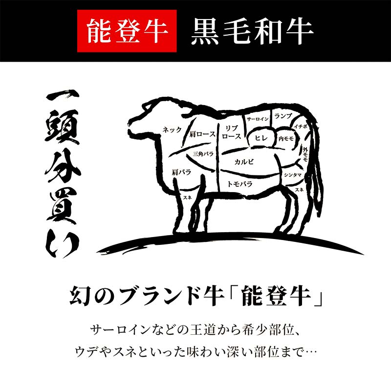 【和牛セレブ】能登牛 一頭買い（一括配送） 【2026年1月以降発送】牛肉 最高級 一頭買い  黒毛和牛 能登牛 和牛セレブ F6P-2156