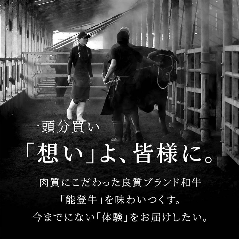 【和牛セレブ】能登牛 一頭買い（12分割配送） 【2026年1月以降発送】牛肉 最高級 一頭買い 黒毛和牛 能登牛 和牛セレブ F6P-2157