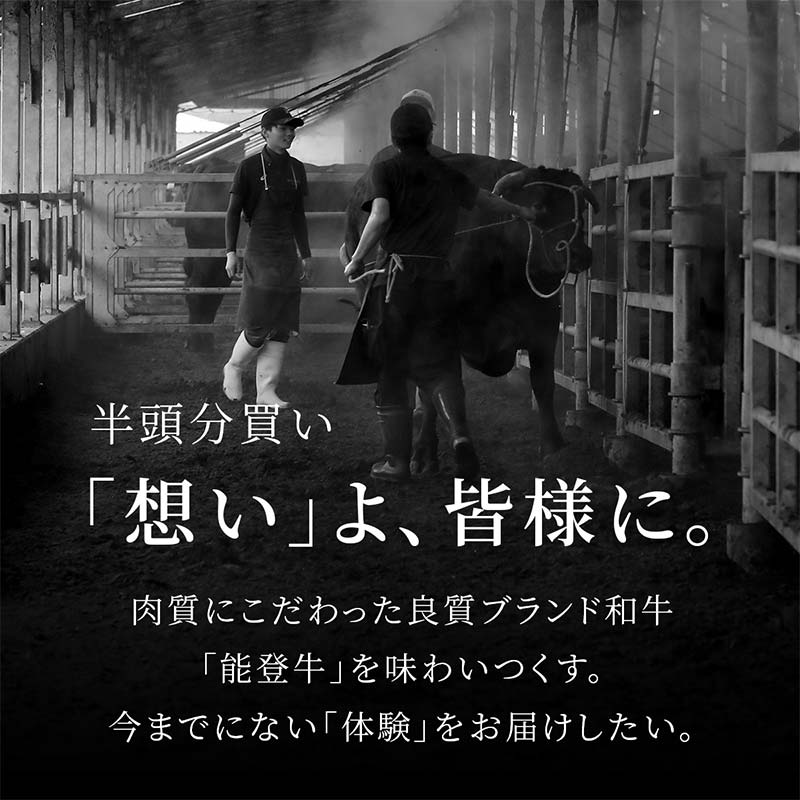 【和牛セレブ】能登牛 半頭買い（一括配送） 【2026年1月以降発送】牛肉 最高級 半頭買い 黒毛和牛 能登牛 和牛セレブ F6P-2158
