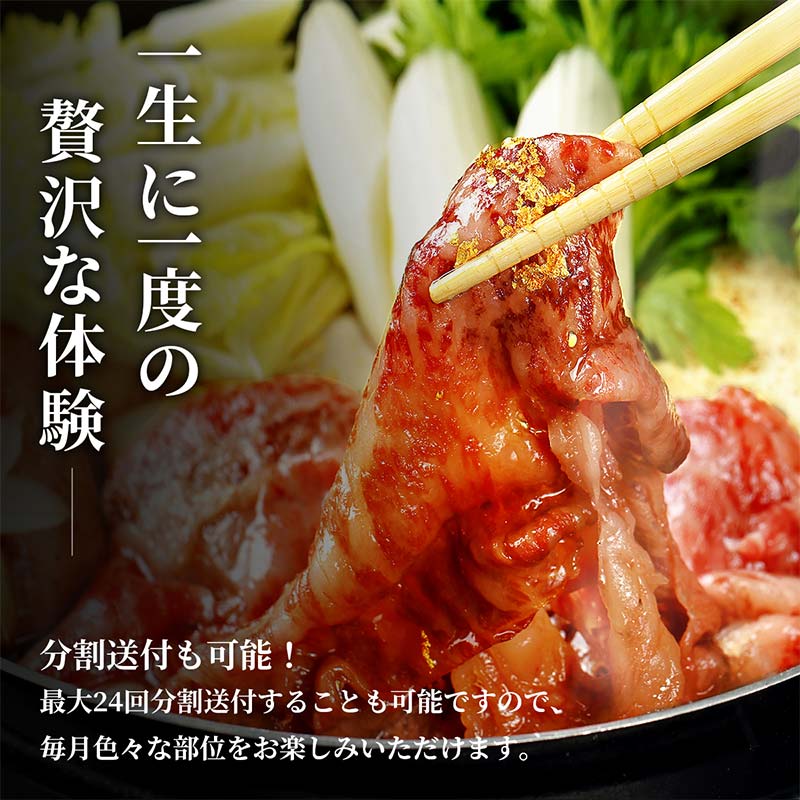 【和牛セレブ】能登牛 半頭買い（12分割配送） 【2026年1月以降発送】牛肉 最高級 半頭買い 黒毛和牛 能登牛 和牛セレブ F6P-2159