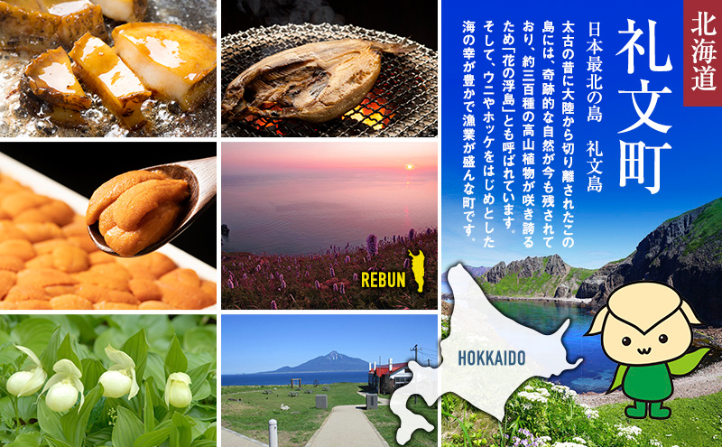 北海道産 新巻鮭 半身 約1.6kg 鮭  魚貝類 サーモン 切り身 サケ 約2.5kg 