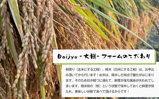 【定期便6ヶ月】自然栽培　コシヒカリ（玄米）　5kg 《無選別品のため訳アリ》