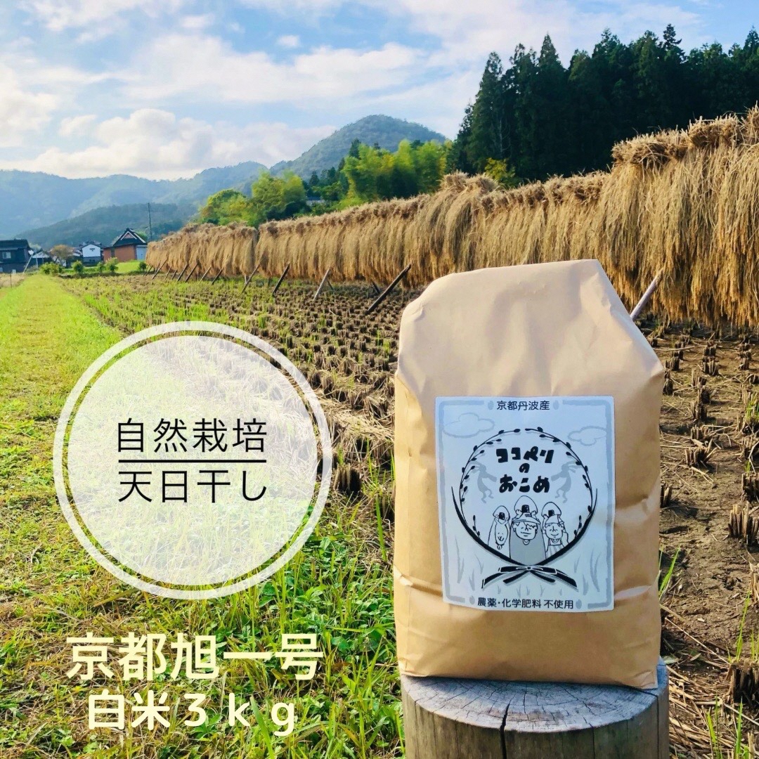 ys{Osz肷āIR͔|EV̋sꍆ 3kg ͔|Ԓ_sgp 엿 ͔|Ԓwgpsgp 󏭕i sOgn OsY 邿   