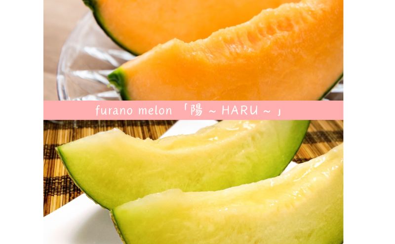 【2026年7月より順次発送】ふらのメロン「陽 ～HARU～」 赤肉＆青肉 食べ比べセット（各1玉 合計2玉：4kg以上）