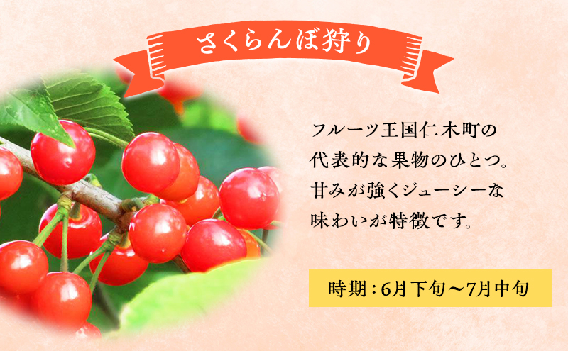 妹尾観光農園 フルーツ狩りチケット2000円 割引 チケット クーポン 利用券 フルーツ 旅行 体験 農園 北海道 仁木町 [フルーツショップ妹尾観光農園]