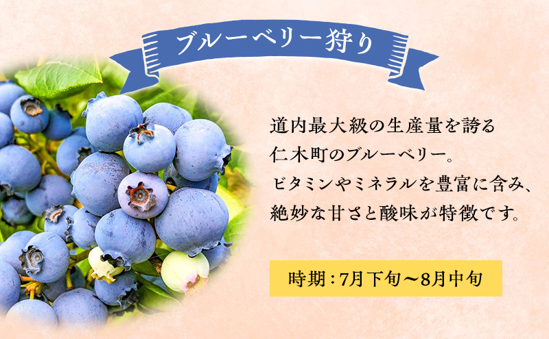 妹尾観光農園 フルーツ狩りチケット1000円 割引 チケット クーポン 利用券 フルーツ 旅行 体験 農園 北海道 仁木町 [フルーツショップ妹尾観光農園]