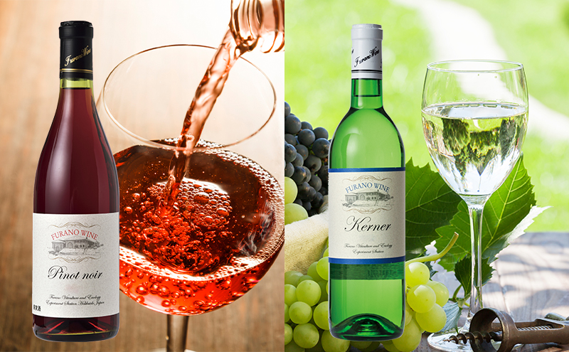 【希少】ド・モンティーユ&北海道　ワインセット 希少】ド・モンティーユ&北海道 ワインセット 希少】ド