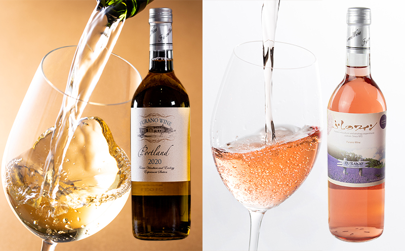 全6回ワイン定期便 奇数月に届く！ワイン2本セット】赤 白 ロゼ