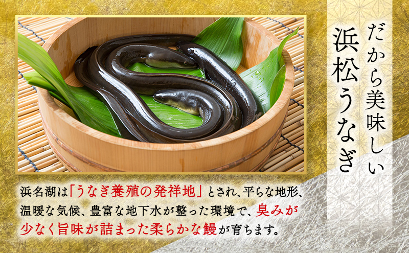 静岡県浜松市のふるさと納税 お食事券 うなぎ 浜松市25店舗で使える 3000円 食事券 補助券 チケット レストラン 料理屋 鰻 ウナギ 土用の丑の日 静岡 静岡県 浜松市