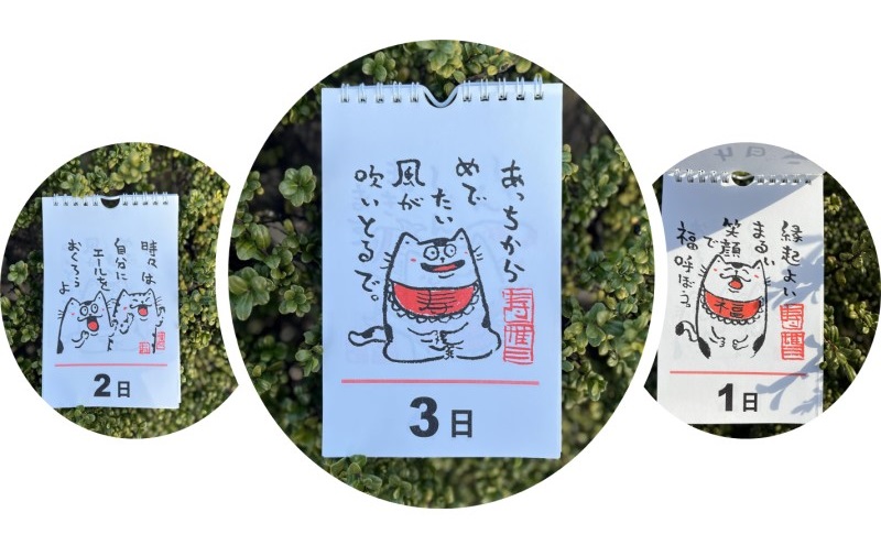 元気のでる日めくりカレンダー 日めくり カレンダー 壁掛け 猫