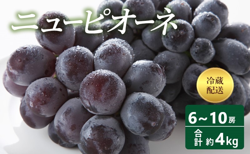【2025年 先行予約】 ニューピオーネ 6～10房 合計約4kg 冷蔵配送 ピオーネ ぶどう 葡萄 フルーツ 果物 岡山 高梁市