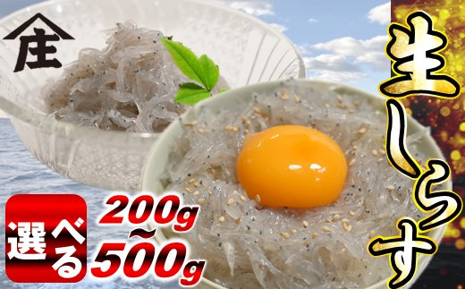 【愛知県南知多町】【容量選べる】 生しらす 200g 〜 500g 冷凍 刺身 真空パック ごはん 丼 サラダ 魚 料理 愛知県 南知多町 師崎 シラス しらす 小魚 魚貝 魚貝類 しらす シラス 海鮮 しらす丼 シラス丼 ふるさと納税しらすしらす おすすめ 大人気 南知多産しらす愛知県産し
