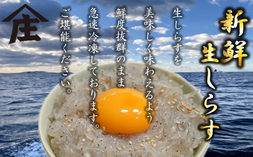 【容量選べる】 生しらす 200g ～ 500g 冷凍 刺身 真空パック ごはん 丼 サラダ 魚 料理 愛知県 南知多町 師崎 シラス しらす 小魚 魚貝 魚貝類 しらす シラス 海鮮 しらす丼 シラス丼 ふるさと納税しらすしらす おすすめ 大人気 南知多産しらす愛知県産しらす