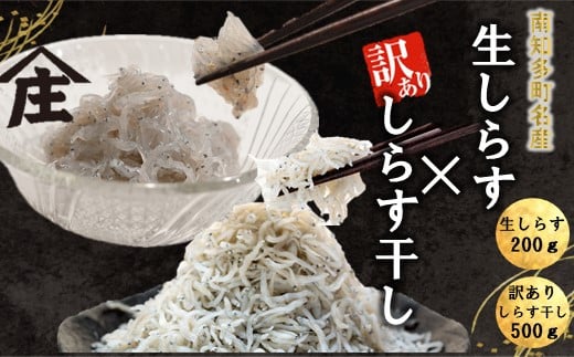 【愛知県南知多町】【選べるセット】 生しらす 200g 400g 訳ありしらす干し 500g 1kg セット 冷凍 刺身 真空パック しらす干し 炒飯 パスタ ごはん 丼 サラダ 魚 料理 愛知県 南知多町 師崎 シラス しらす 小魚 魚貝 魚貝類 しらす シラス 海鮮 しらす丼 シラス丼 ふるさと納