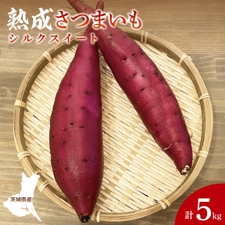 【茨城県大子町】【先行予約】【10月中旬より順次発送予定】熟成さつまいも シルクスイート5kg|茨城県 大子町 サツマイモ 芋 甘い ホクホク 野菜 数量限定 5キロ 旬(CH003)