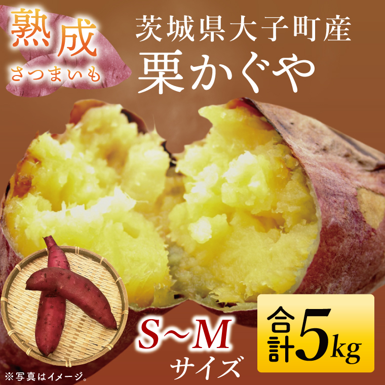 �y��錧��q���z�y��s�\��z�y10�����{��菇�������\��z�n�����܂��� �I������ 5kg�b��錧 ��q�� �T�c�}�C�� �� �Â� �z�N�z�N ��� ���ʌ��� 5�L�� �{�iCH004�j