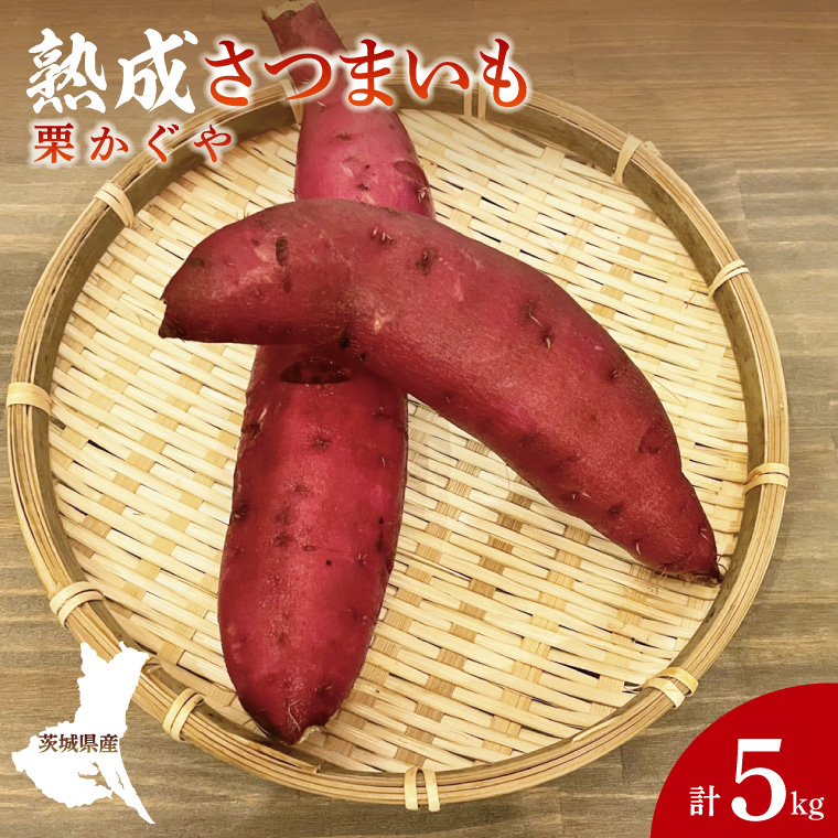 【茨城県大子町】【先行予約】【10月中旬より順次発送予定】熟成さつまいも 栗かぐや 5kg|茨城県 大子町 サツマイモ 芋 甘い ホクホク 野菜 数量限定 5キロ 旬(CH004)