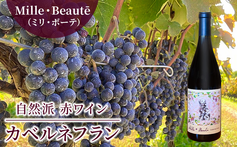 【長野県小諸市】Mille・Beaute(ミリ・ボーテ)カベルネフラン 無濾過 赤ワイン