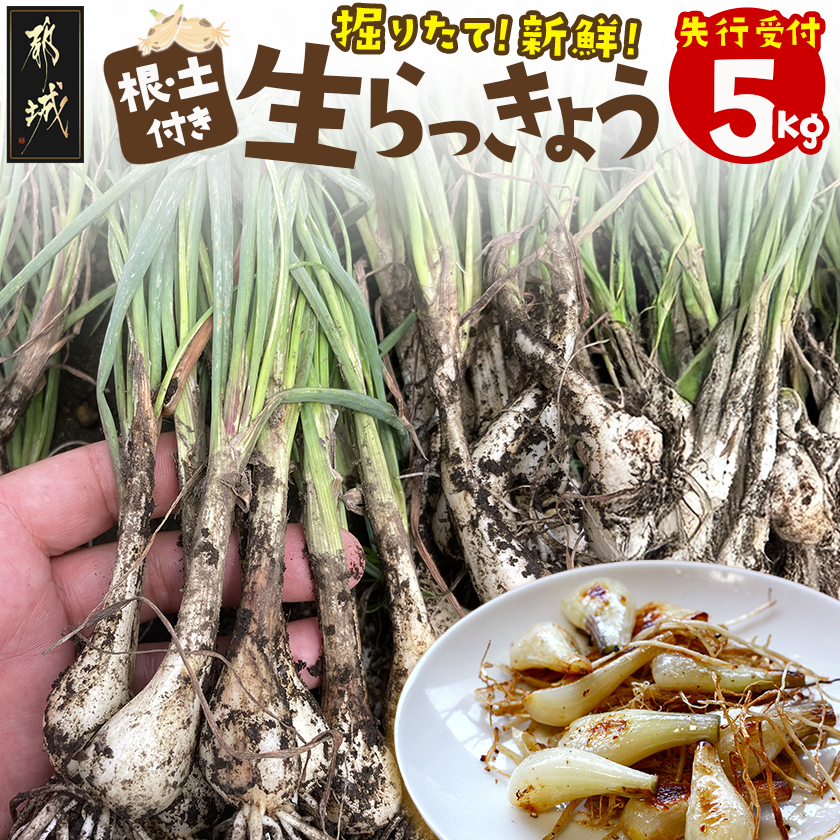 [先行受付!]掘りたて!新鮮!!根付き土付き生らっきょう5kg≪2026年5月中旬以降順次お届け≫