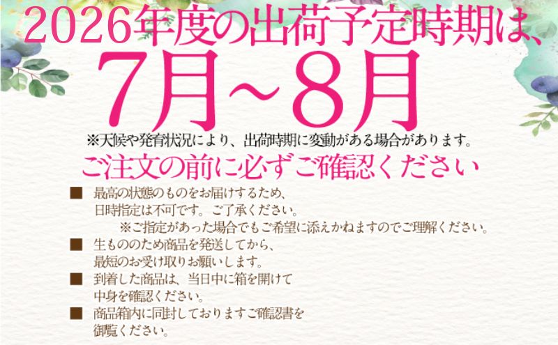 2026年予約受付中【2回定期便】 シャインマスカット 晴王 7月8月に1回づつ出荷  1房 約700g  人気 岡山県産 種無し 皮ごと食べる みずみずしい  フレッシュ 晴れの国 おかやま 果物大国 ハレノフルーツ