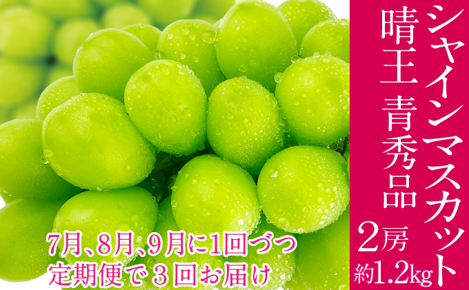 �y���R���ʖ�s�z2026�N�\���t���y3�����ցz �V���C���}�X�J�b�g ���� 7��8��9����1��Âo�� 2�[ ��1.2kg  �l�C ���R���Y �햳�� �炲�ƐH�ׂ� �݂��݂�����  �t���b�V�� ����̍� ������� �ʕ��卑 �n���m�t���[�c