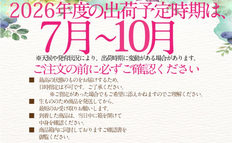 2026年予約受付中【4回定期便】 シャインマスカット 晴王 7月8月9月10月に1回づつ出荷   1房 約600g  人気 岡山県産 種無し 皮ごと食べる みずみずしい  フレッシュ 晴れの国 おかやま 果物大国 ハレノフルーツ