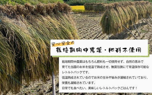 レトルトごはん（五穀玄米） 10パックセット 化学調味料無添加・無菌