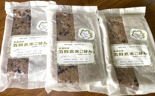 レトルトごはん（五穀玄米） 10パックセット 化学調味料無添加・無菌