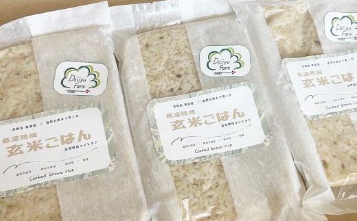 レトルトごはん（玄米） 10パックセット 化学調味料無添加・無菌