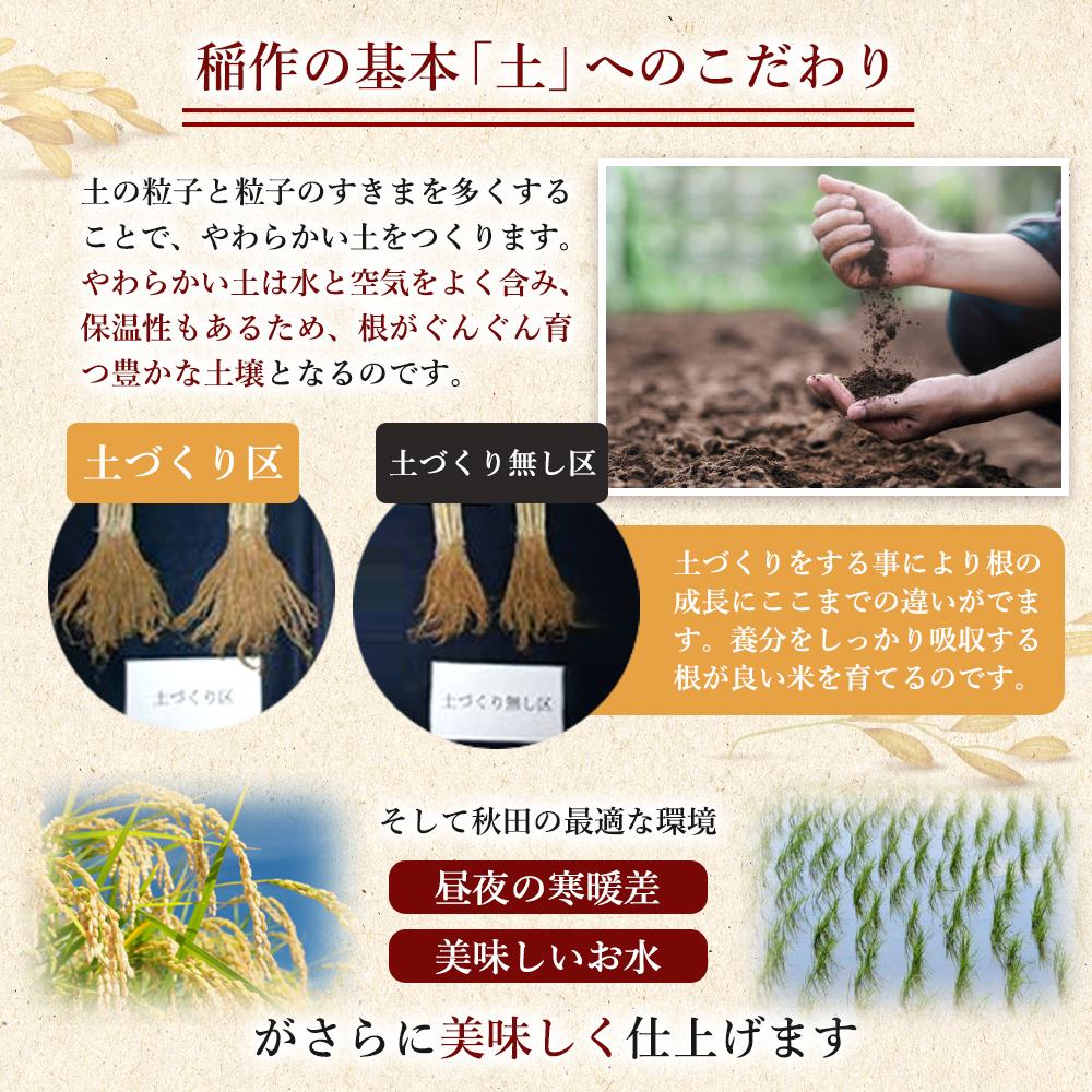 令和6年秋田県産サキホコレ新米5kg合格祈願シール付オリジナルティッシュ2個付き 秋田県産 サキホコレ 5kg 令和6年産 2024年 ふっくらとした食感