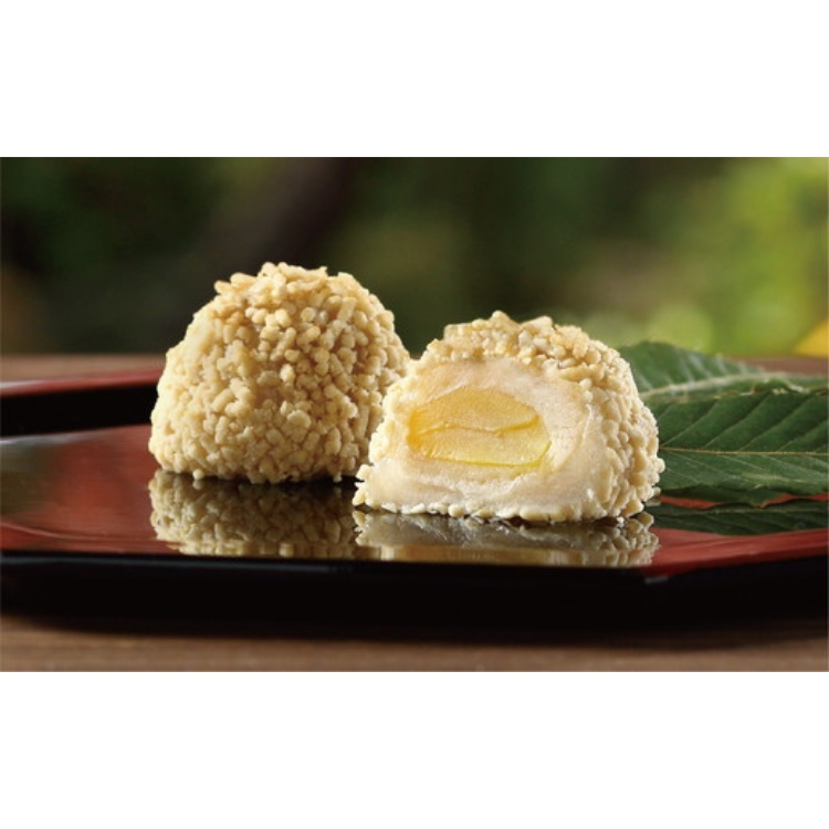 愛媛県鬼北町のふるさと納税 【宗家 源吉兆庵】栗をまるごと使用した『御前栗』9個セット ｜ 愛媛県 鬼北町 和栗 くり 高級 贅沢 和菓子 贈答用 季節限定 希少 旬の味 絶品　※離島への配送不可　※2026年1月中旬頃までに順次発送予定