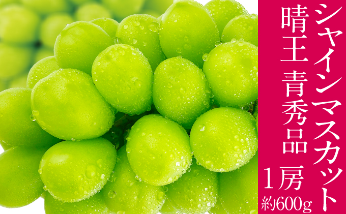 �y���R�����˓��s�z2026�N�\���t�� �V���C���}�X�J�b�g ���� 7���`8���o�� 1�[ ��600g  �l�C ���R���Y �햳�� �炲�ƐH�ׂ� �݂��݂�����  �t���b�V�� ����̍� ������� �ʕ��卑 �n���m�t���[�c