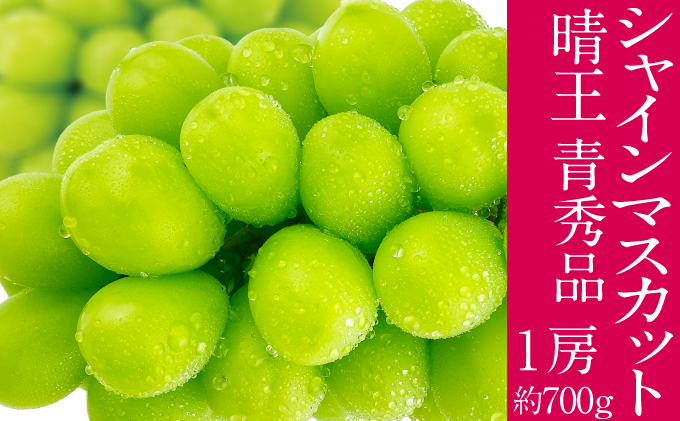 2026年予約受付中 シャインマスカット 晴王 7月～8月出荷 1房 約700g  人気 岡山県産 種無し 皮ごと食べる みずみずしい  フレッシュ 晴れの国 おかやま 果物大国 ハレノフルーツ