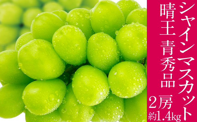 �y���R�����˓��s�z2026�N�\���t�� �V���C���}�X�J�b�g ���� 7���`8���o�� 2�[ ��1.4kg  �l�C ���R���Y �햳�� �炲�ƐH�ׂ� �݂��݂�����  �t���b�V�� ����̍� ������� �ʕ��卑 �n���m�t���[�c