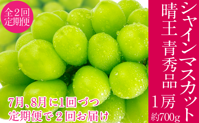 �y���R�����˓��s�z2026�N�\���t�� �V���C���}�X�J�b�g ���� 7��8����1��Âo�� 2�� ����� 1�[ ��700g  �l�C ���R���Y �햳�� �炲�ƐH�ׂ� �݂��݂�����  �t���b�V�� ����̍� ������� �ʕ��卑 �n���m�t���[�c