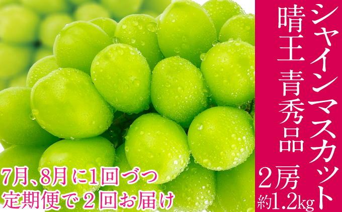 2026年予約受付中 シャインマスカット 晴王 7月8月に1回づつ出荷 2回 定期便 2房 約1.2kg  人気 岡山県産 種無し 皮ごと食べる みずみずしい  フレッシュ 晴れの国 おかやま 果物大国 ハレノフルーツ