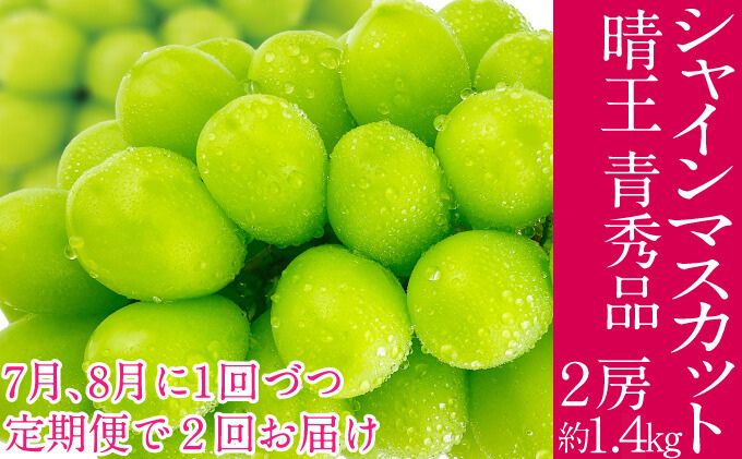 �y���R�����˓��s�z2026�N�\���t�� �V���C���}�X�J�b�g ���� 7��8����1��Âo�� 2��@����� 2�[ ��1.4kg  �l�C ���R���Y �햳�� �炲�ƐH�ׂ� �݂��݂�����  �t���b�V�� ����̍� ������� �ʕ��卑 �n���m�t���[�c