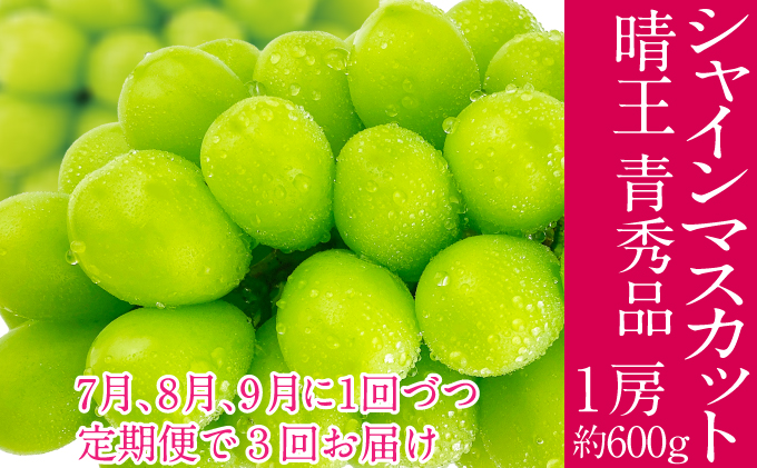 �y���R�����˓��s�z2026�N�\���t�� �V���C���}�X�J�b�g ���� 7��8��9����1��Âo�� 3�� ����� 1�[ ��600g  �l�C ���R���Y �햳�� �炲�ƐH�ׂ� �݂��݂�����  �t���b�V�� ����̍� ������� �ʕ��卑 �n���m�t���[�c