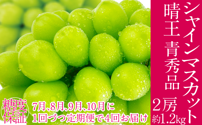 �y���R�����˓��s�z2026�N�\���t�� �V���C���}�X�J�b�g ���� 7��8��9��10����1��Âo��  4�� ����� 2�[ ��1.2kg  �l�C ���R���Y �햳�� �炲�ƐH�ׂ� �݂��݂�����  �t���b�V�� ����̍� ������� �ʕ��卑 �n���m�t���[�c