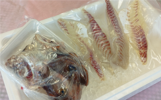 朝〆直送！愛南町産鯛さしみ用切り身（800g＋アラ付き）真鯛 朝〆 直送 新鮮 アラ 冷蔵 愛媛県 朝〆直送 皮引き 三枚おろし 兜 かぶと煮 国産 魚介 特産品 愛南町 魚介類 海産物 鮮魚 養殖 産地直送 海鮮 ブランド まだい 鯛 刺身 塩焼き 煮付け 酒蒸し カルパッチョ 鯛飯 鯛しゃぶ 鯛めし 鯛茶漬け 鯛漬け お正月 お祝い 年末 年始 紅白 めでたい 真空 パック あら炊き カマ 柵 松岡鮮魚