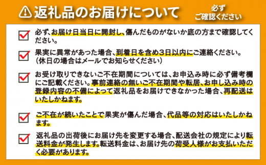 訳あり 愛媛みかん 5kg 【発送期間：9月中旬～1月中旬】光センサー選果 柑橘 果物 国産 フルーツ 蜜柑 大小 ミックス 不揃い 傷 温州 ビタミン 美味しい みかん職人武田屋 愛媛県 愛南町