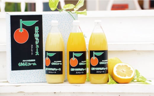 みかん 果汁 100% ストレート ジュース 3本 セット （ 1000ml × 3本 ） ぽんかん はるか 河内晩柑 愛南ゴールド 10000円 1万円 数量限定 期間限定 高級 贈答 ギフト プレゼント 母の日 敬老の日 おやつ 国産 フルーツ 果物 柑橘 産地直送 農家直送 特産品 完熟 濃厚 人気 限定 甘い こどもの日 ジューシー 新鮮 果実 さわやか 愛媛県 愛南町  くらもとファーム