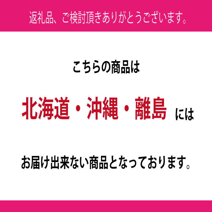 ぶどう 2026年 先行予約 9月・10月発送 シャインマスカット 晴王 1房 約700g ブドウ 葡萄 岡山県産 国産 フルーツ 果物 ギフト